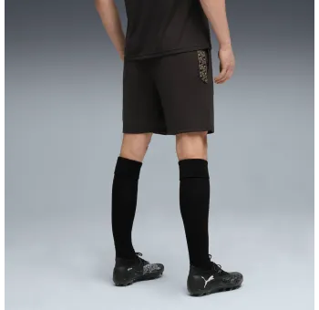 KINGtouch Shorts