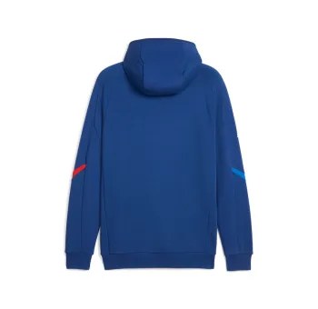 BMW MMS HOODED SWEA