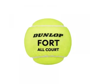 Tubes de Balles de Tennis Fort All Court - Lot de 2