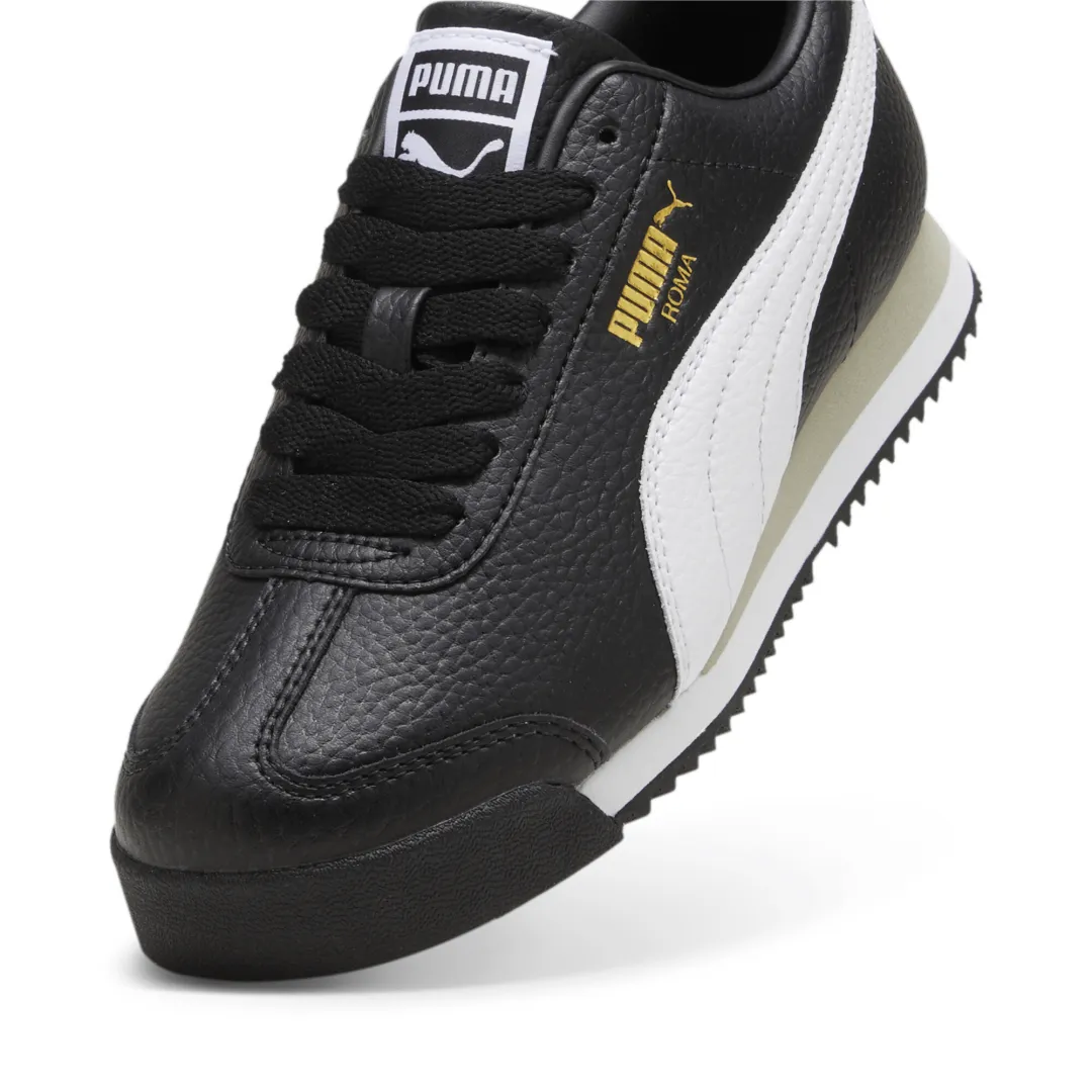 Roma 24 Standard Jr