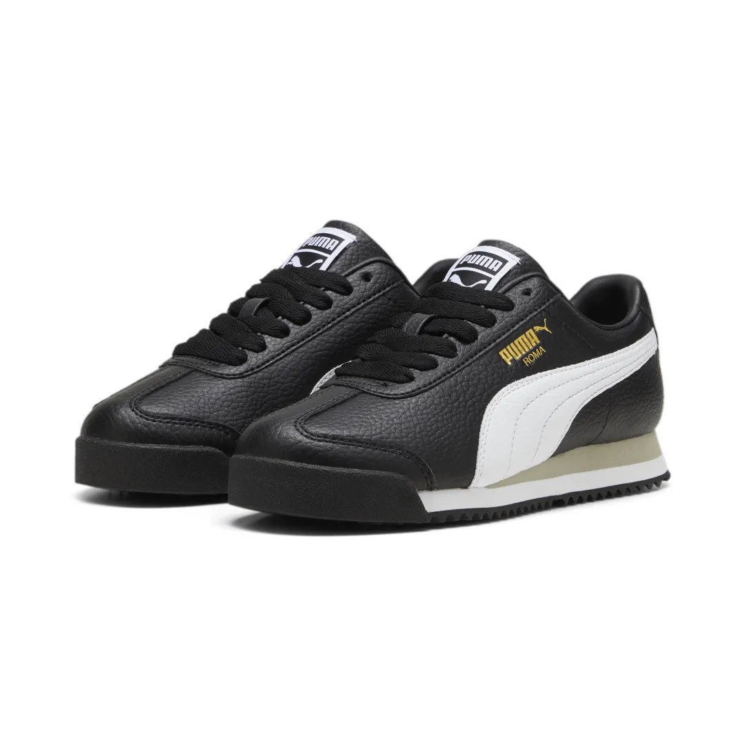 Roma 24 Standard Jr