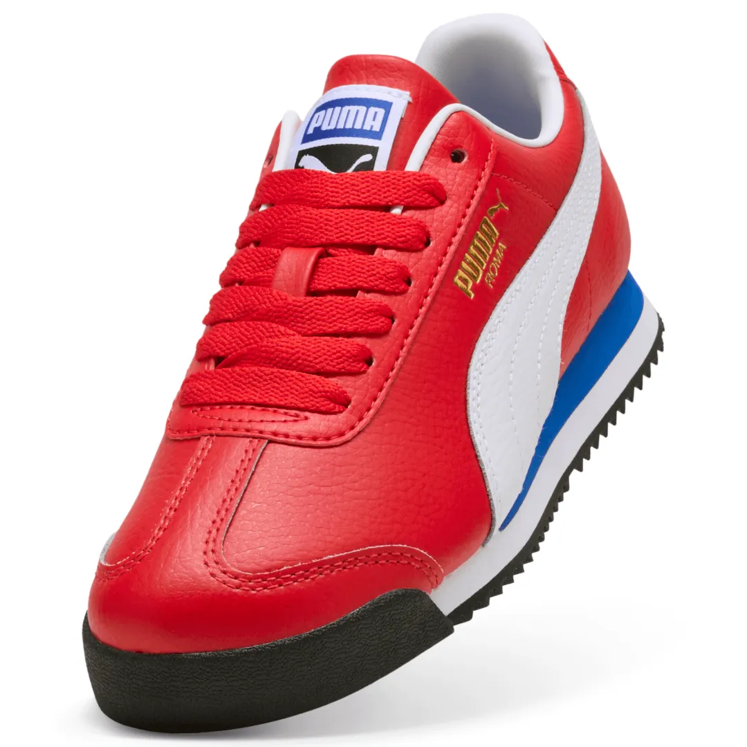 Roma 24 Standard Jr