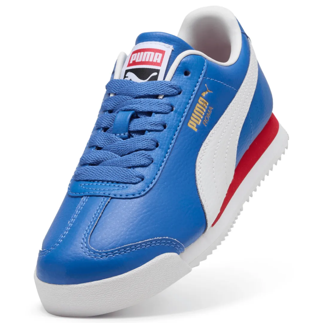 Roma 24 Standard Jr