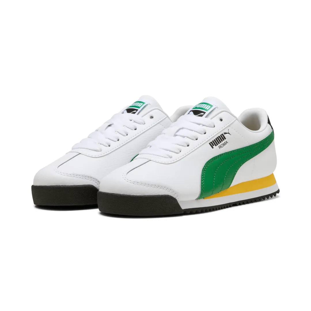 Roma 24 Standard Jr