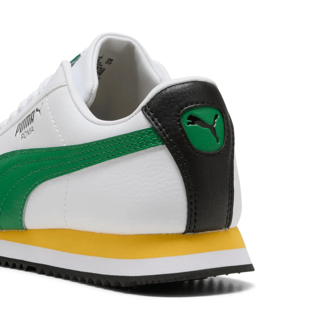Roma 24 Standard Jr