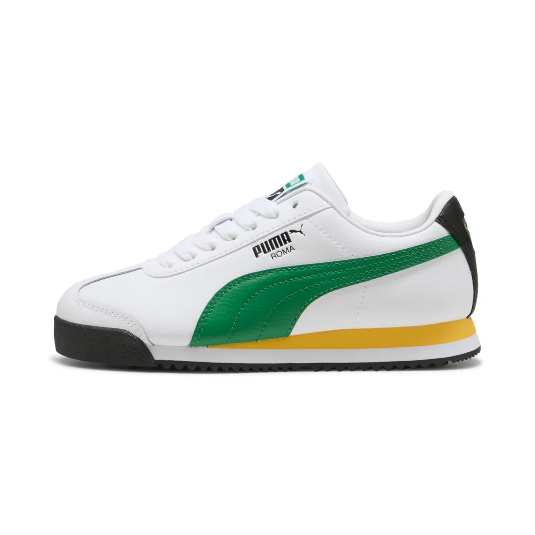Roma 24 Standard Jr