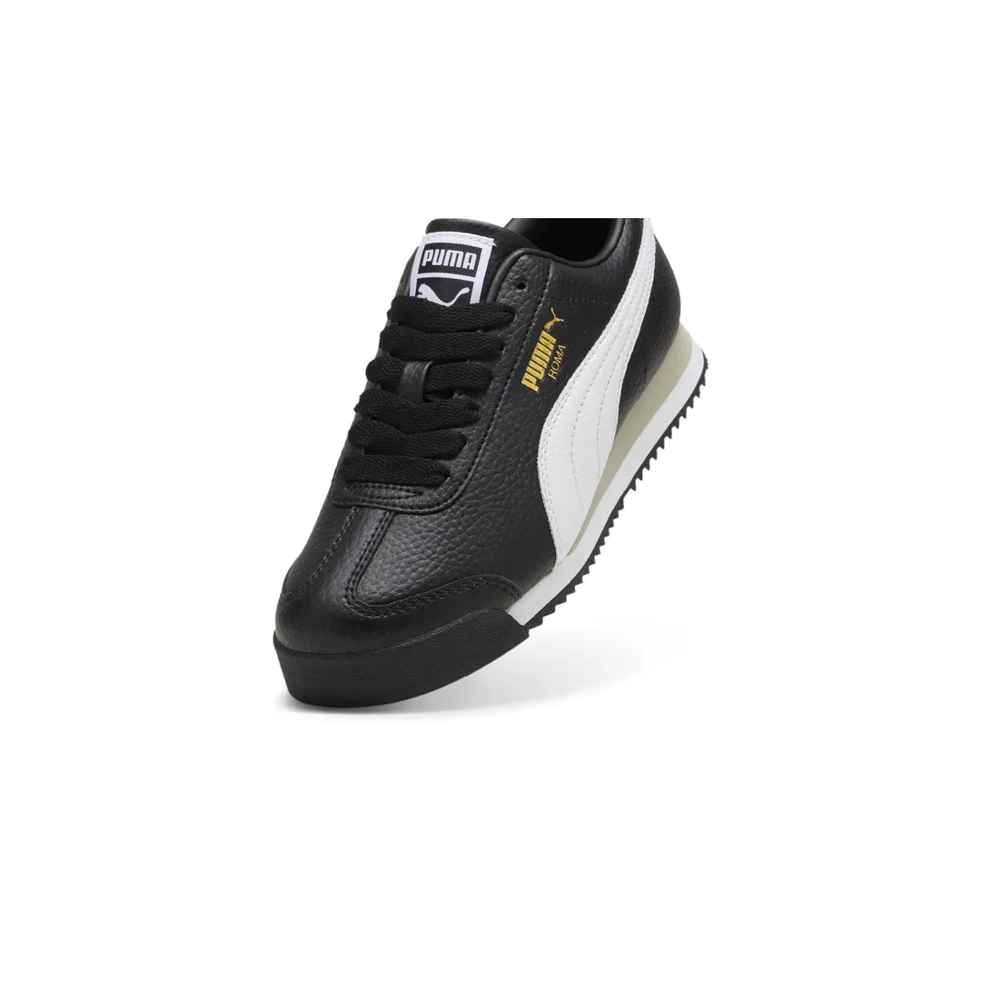 Roma 24 Standard Jr