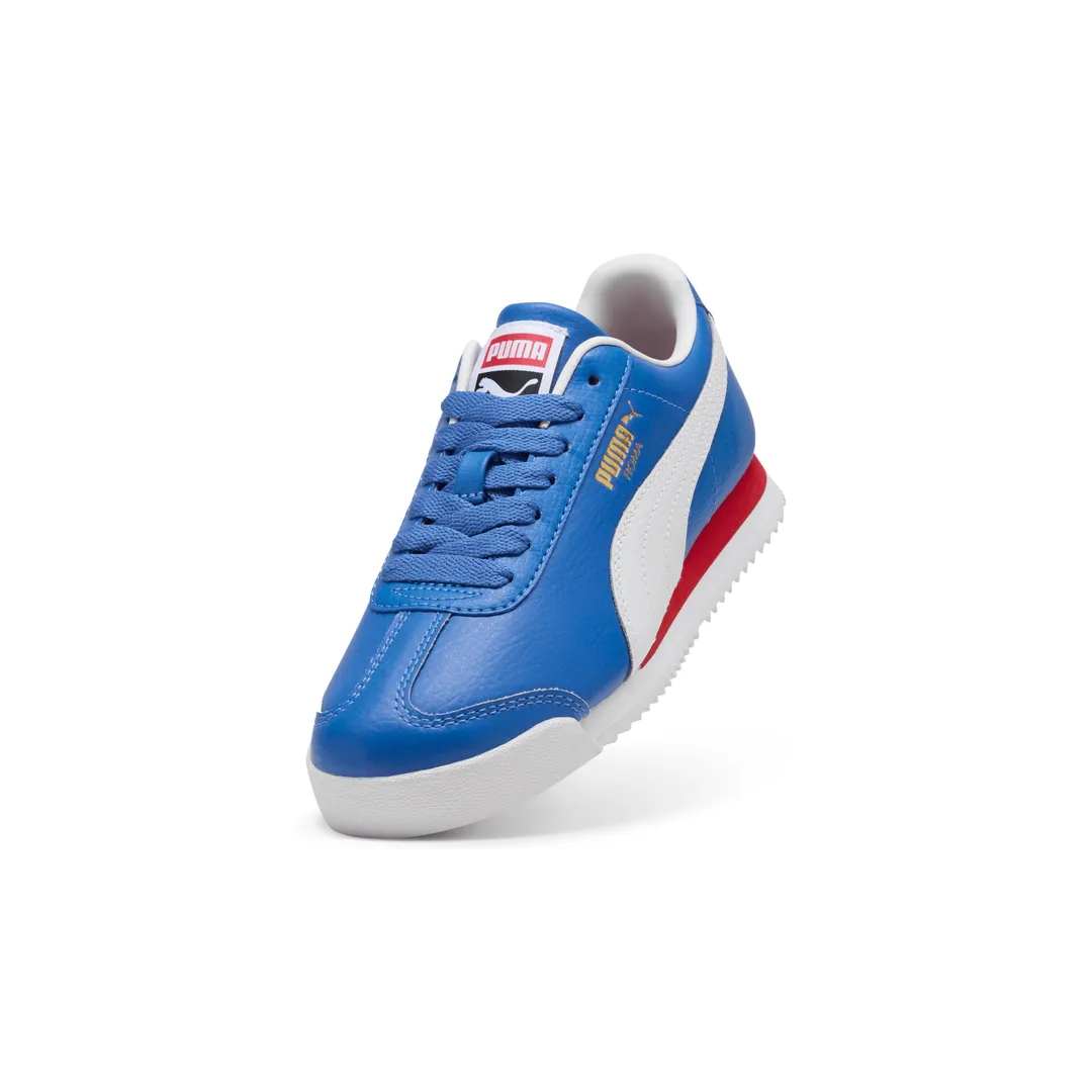 Roma 24 Standard Jr