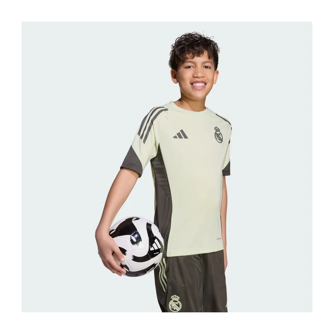 REAL TR JSY Y       ALMLIM