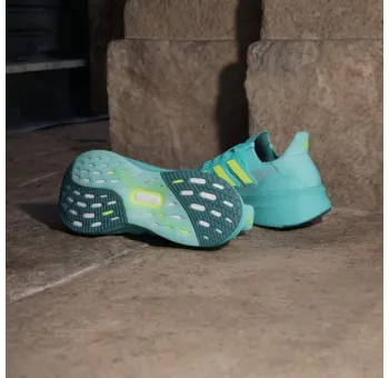 ULTRABOOST 5        FLAAQULUCLEMMINTON