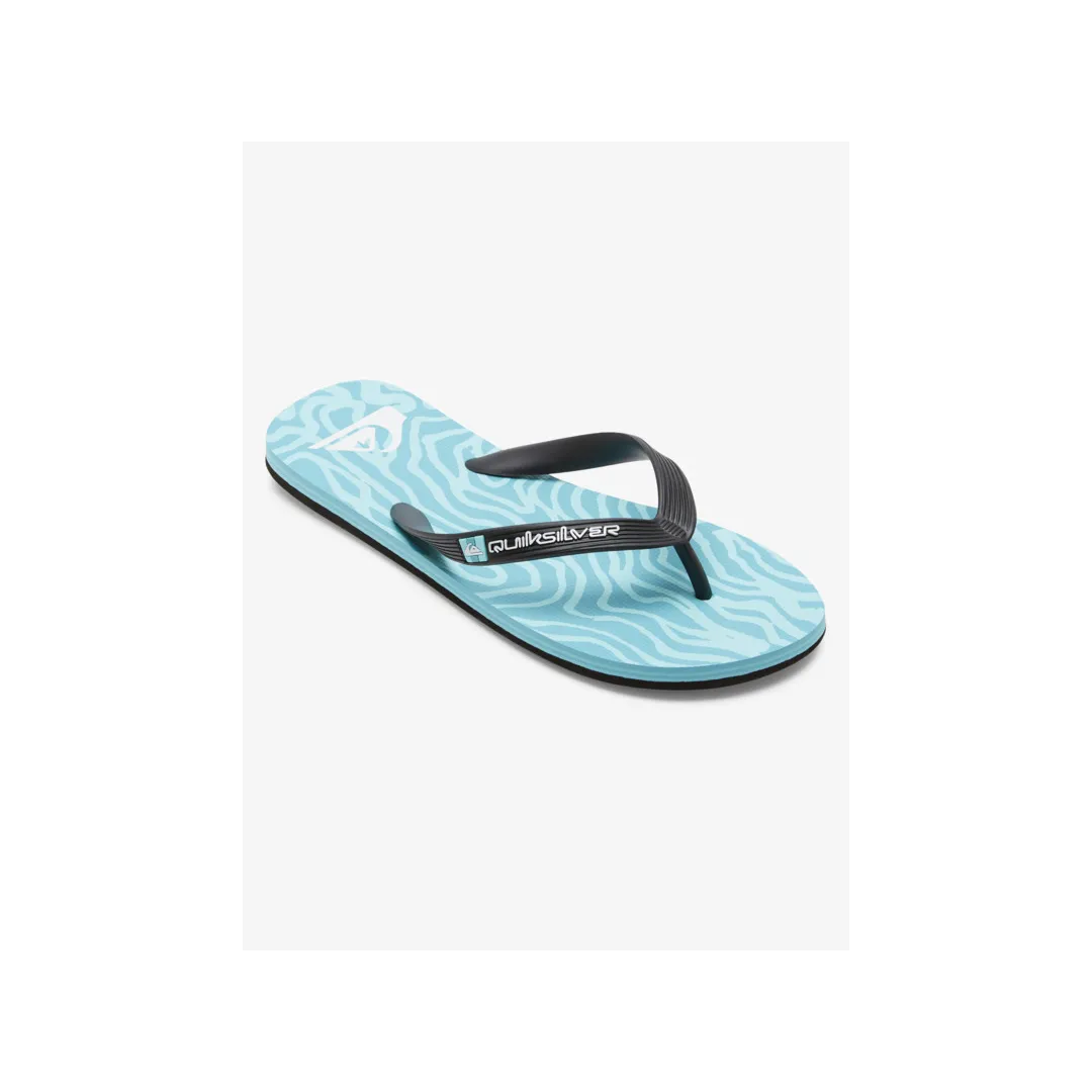 Tongs de plage Quicksilver Molokai Art pour Homme