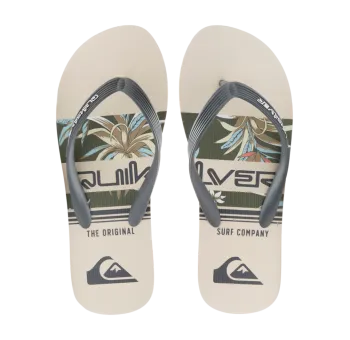 Tongues de plage Quicksilver Java Art