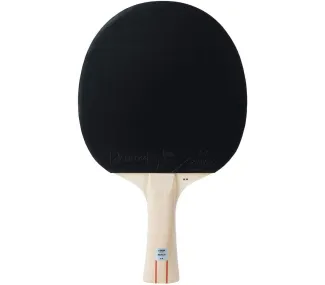 Raquette de Tennis de Table TT Reach 2-Star | Équipement Sportif de Haute Qualité