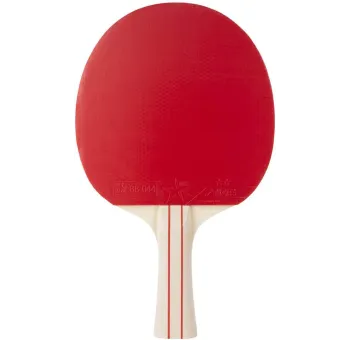Raquette de Tennis de Table TT Reach 2-Star | Équipement Sportif de Haute Qualité