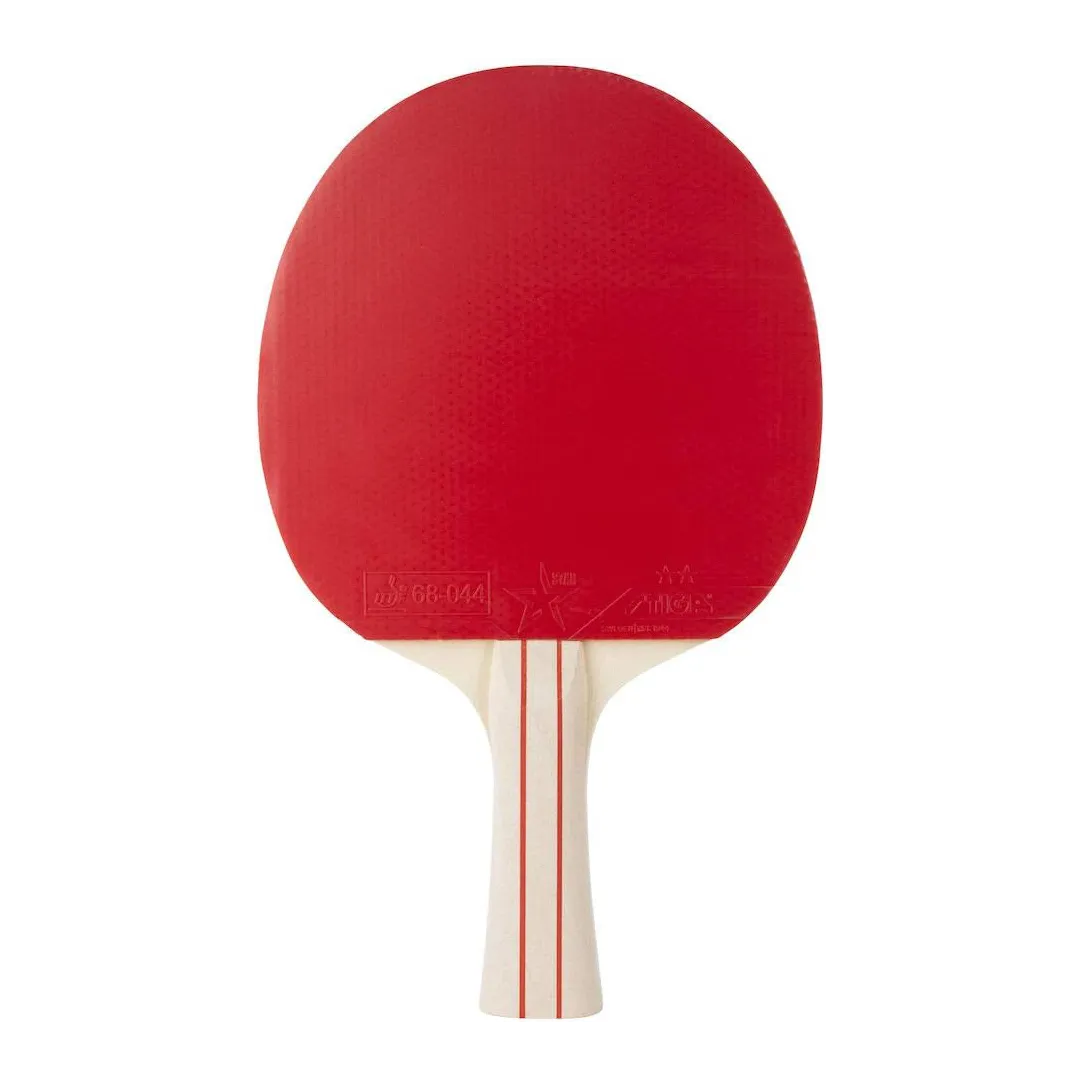 Raquette de Tennis de Table TT Reach 2-Star | Équipement Sportif de Haute Qualité