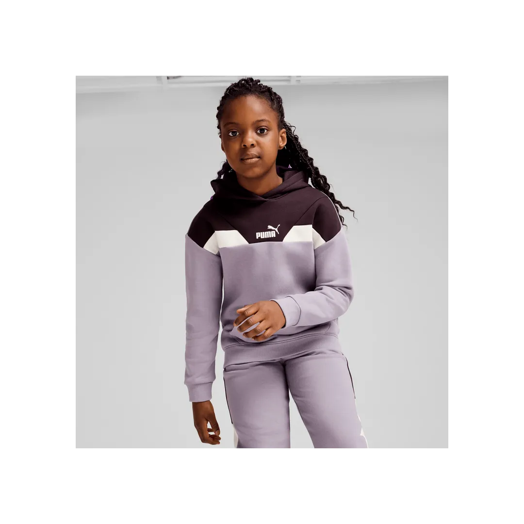 PUMA POWER Hoodie FL