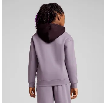 PUMA POWER Hoodie FL