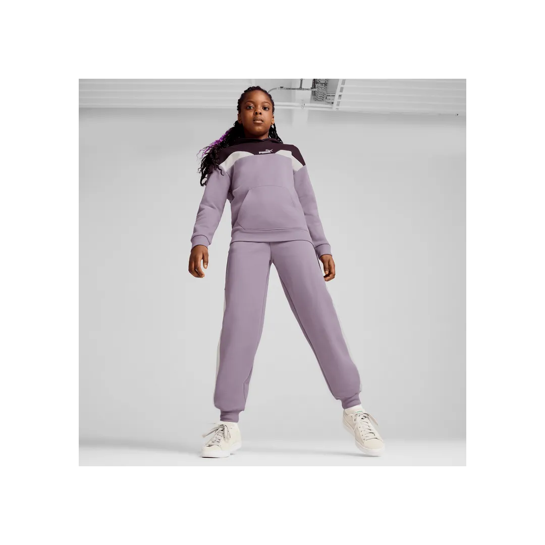 PUMA POWER Hoodie FL